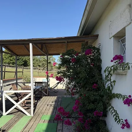 別荘 Les Paradoux Pin-Balma